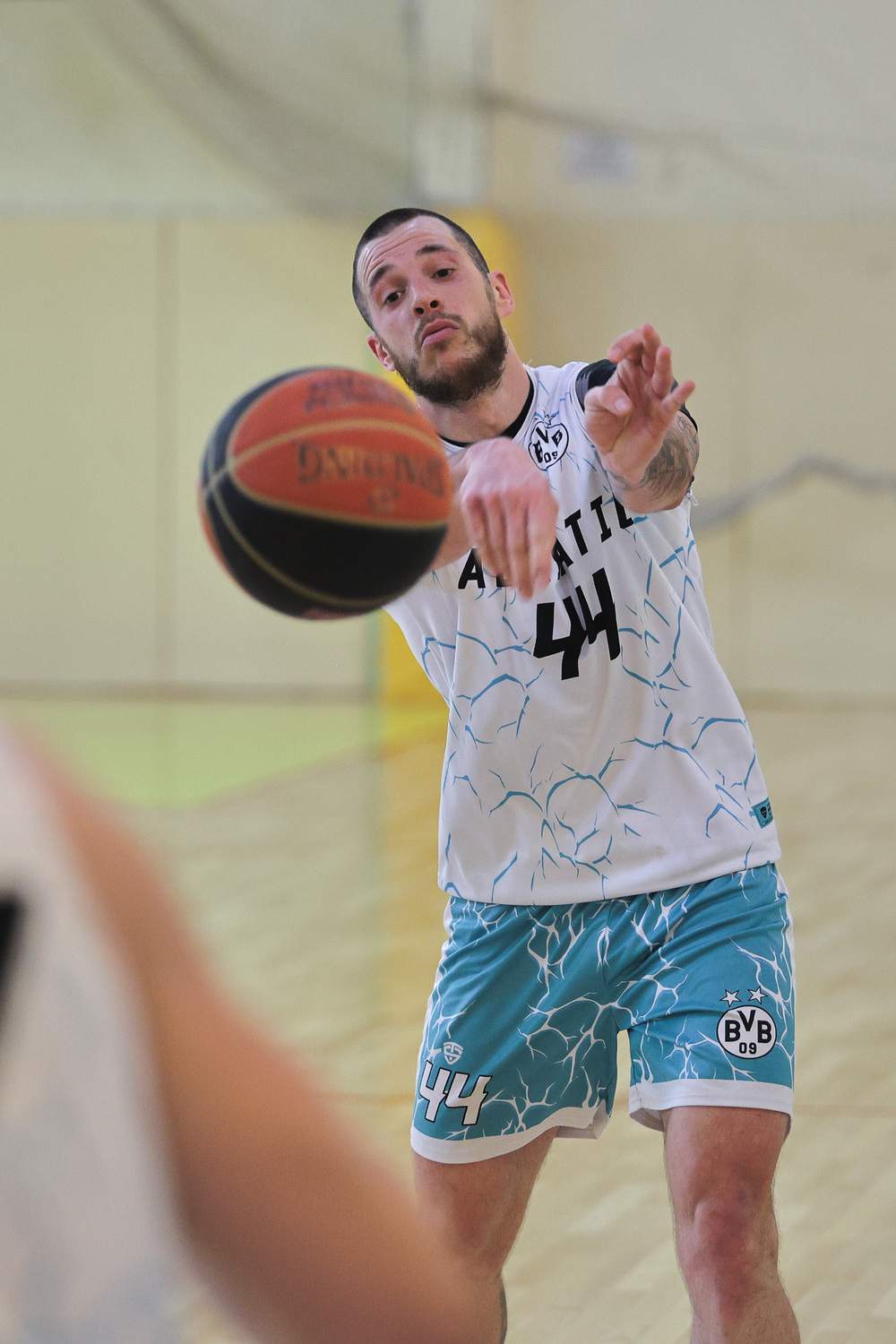 Duje Tomić Ferić